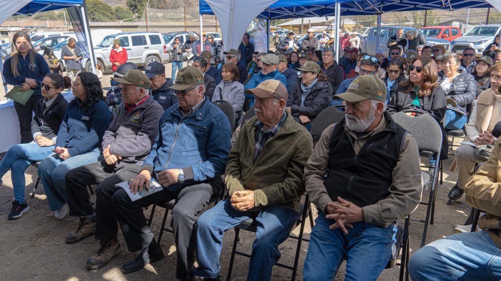 El sector de El Pino fue el escenario de la reciente celebración del término de la cosecha y el tercer aniversario del Fondo ProOlivo.