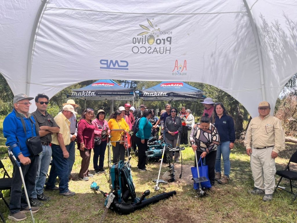Usuarios del Fondo ProOlivo Reciben Capacitación Personalizada de Makita en Huasco Bajo.